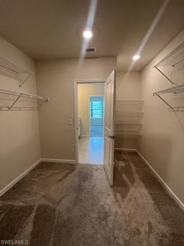 Spacious closet with visible vents and carpet flooring