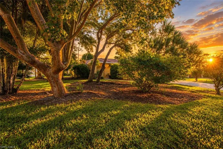 Mature landscaping