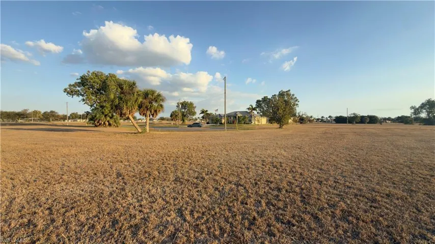 View of grassy yard