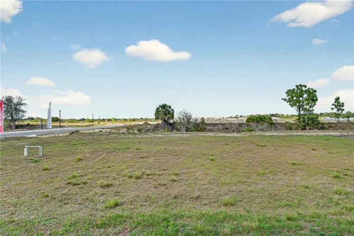 View of grassy yard