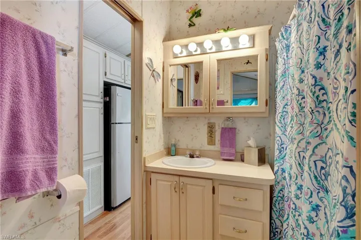 Bathroom with wood-type flooring and vanity