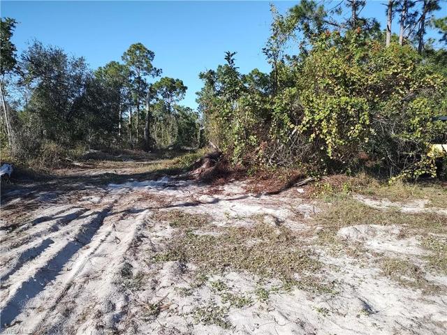 1245 Egbert ST E, LEHIGH ACRES FL 33974