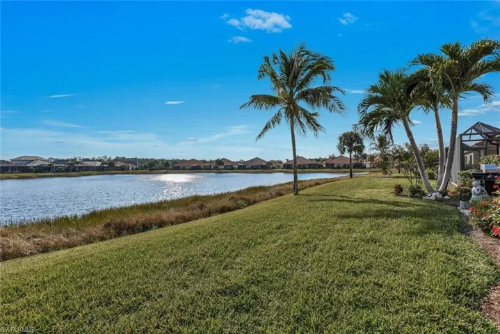 Peaceful Lake View