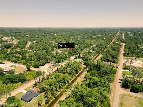 Drone / aerial view featuring a forest view