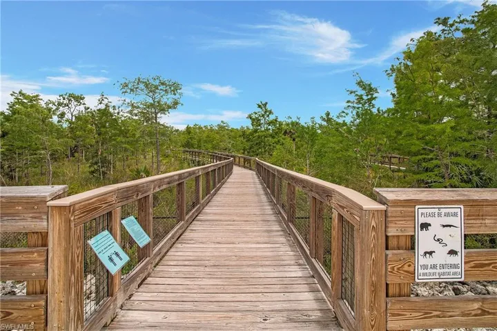 Bird watch overlook