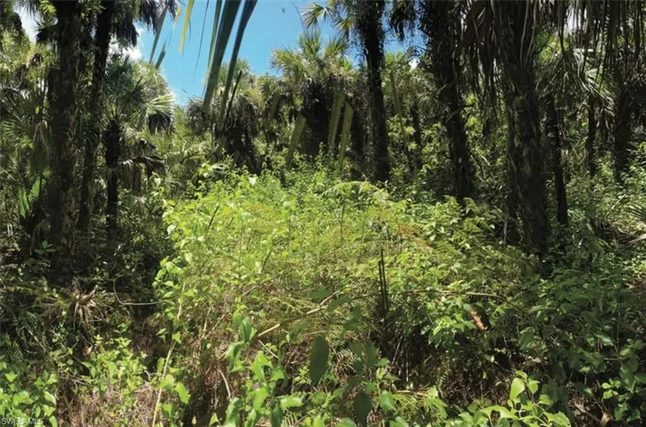, Naples, Florida 34117