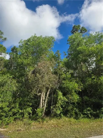 View of nature
