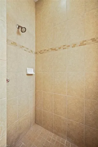 Primary bathroom shower