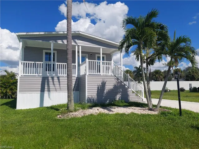 Mature Palms in landscaping