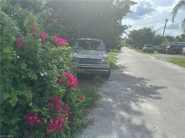 Street Frontage with Bougainvilla
