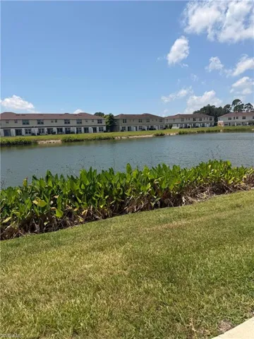 15031  Caspian Tern  CT, North Fort Myers, FL 33917