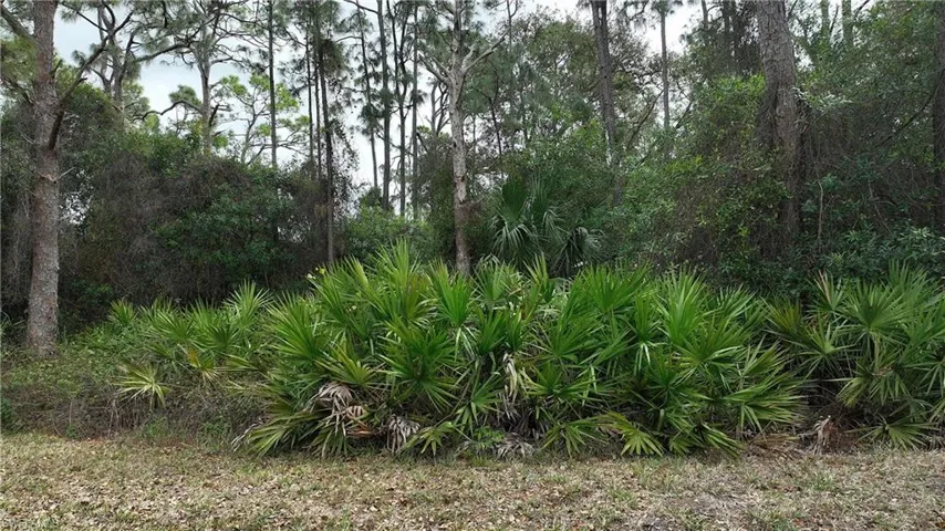 9245 Aegean Cir, Lehigh Acres, Florida 33936