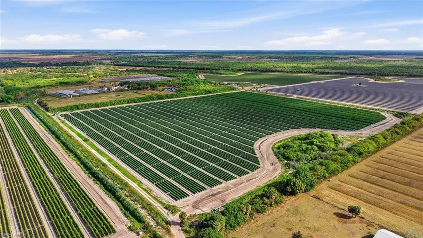 Aerial view of sparsely populated area with large plots for crops