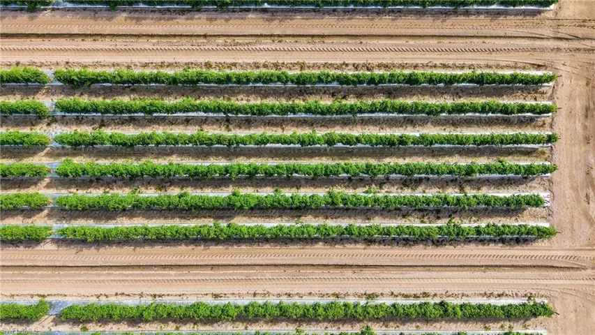 Exterior view of large plots for crops