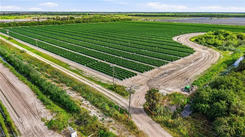 View of rural area featuring farmland