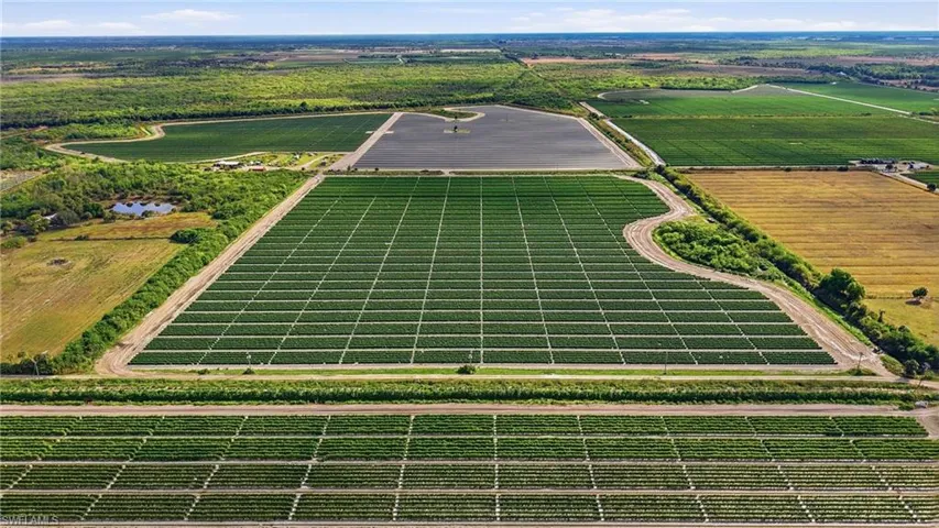 View of rural area featuring rows of crops