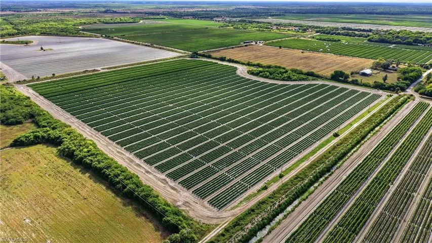 Aerial view of sparsely populated area with rows of crops