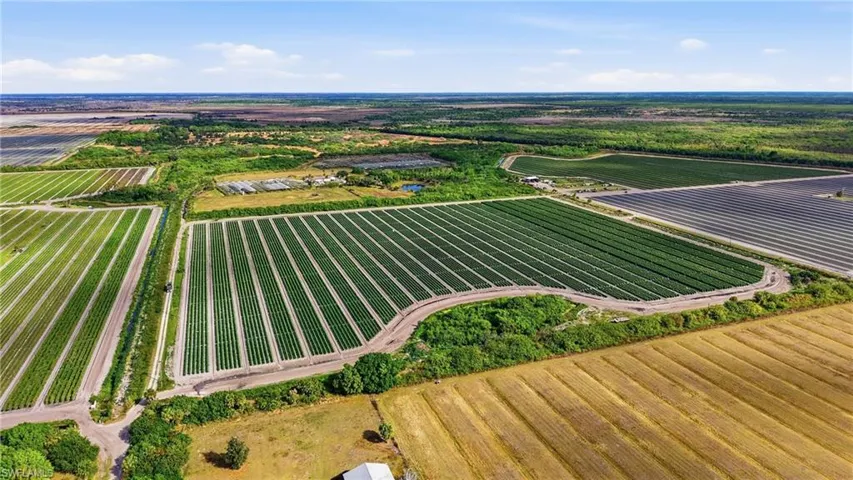 View of rural area with abundant farmland