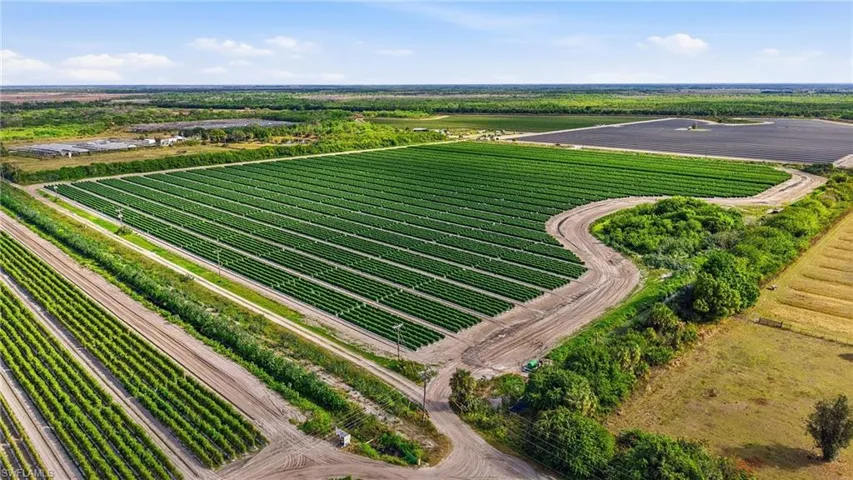 View of rural area with farmland