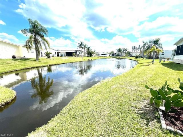 Back Yard View