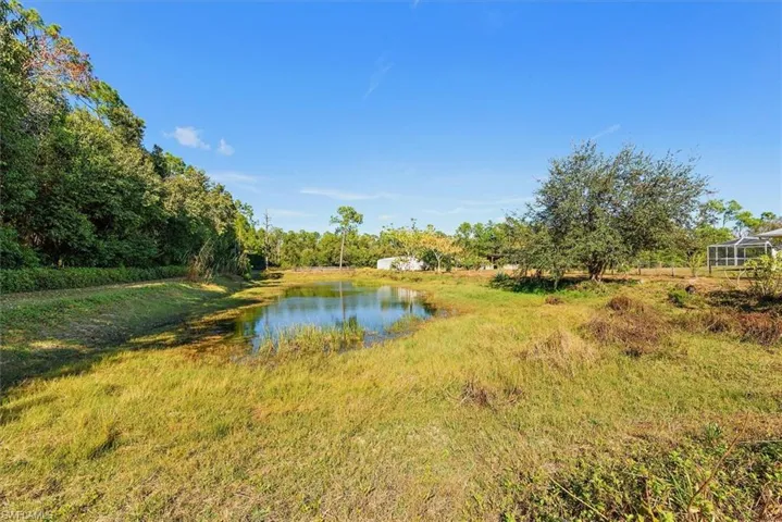 Water view with a forest