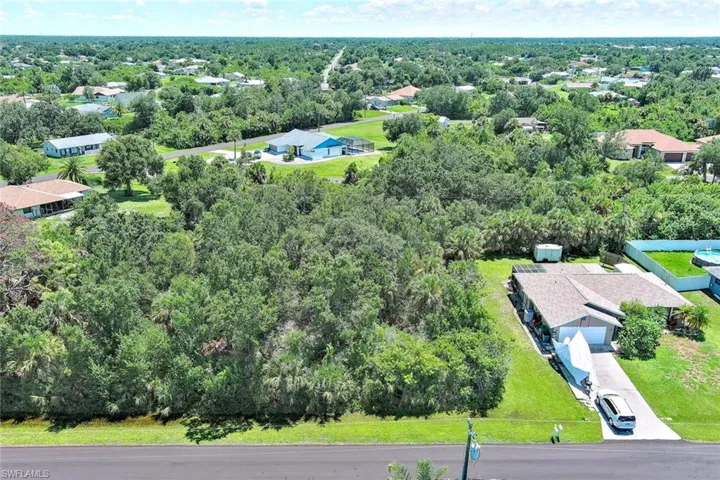 Bird's eye view of a forest