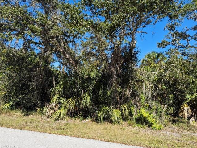 17368  Robinson  AVE, PORT CHARLOTTE, FL 33948