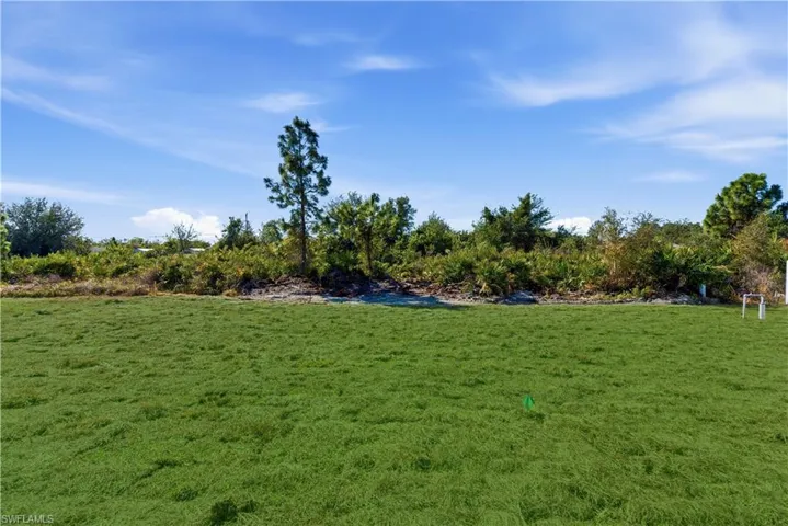 back yard