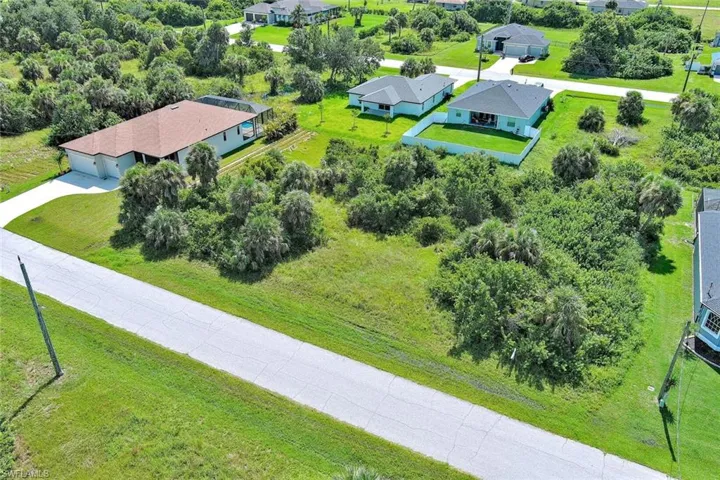 Bird's eye view of a tree filled landscape
