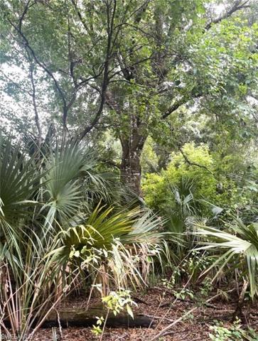 4260 22nd AVE SE, NAPLES FL 34117