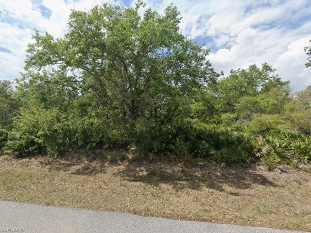 View of undeveloped land