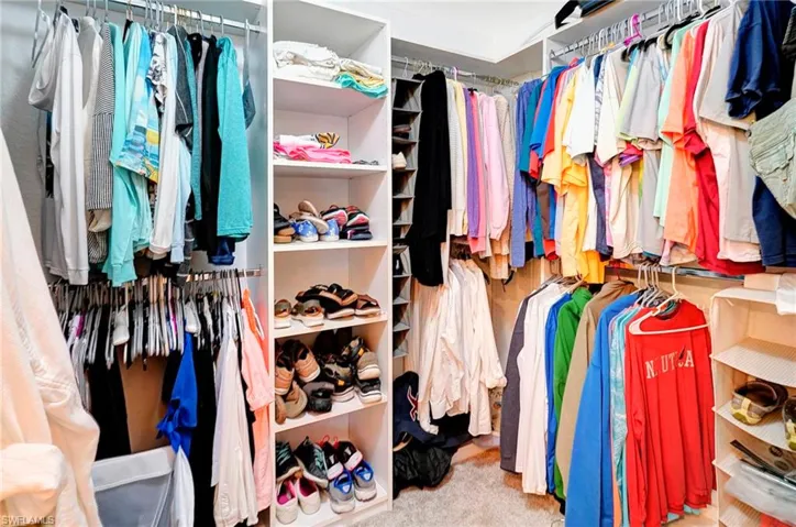 Spacious closet featuring light colored carpet