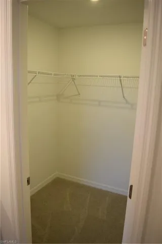 Walk in closet with carpet flooring