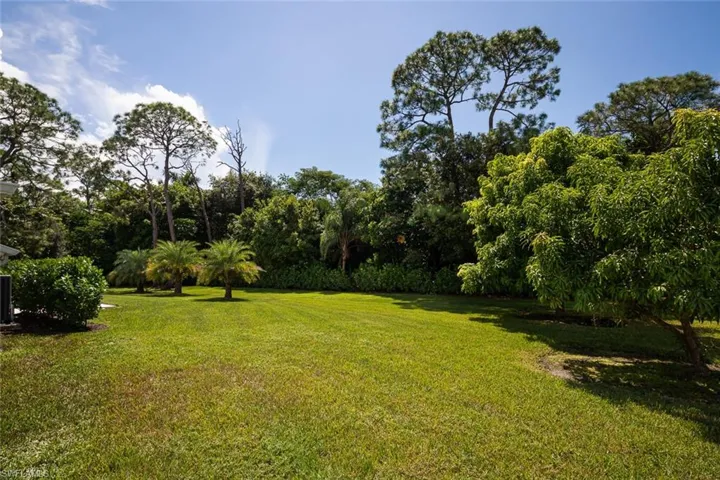 View of yard facing East