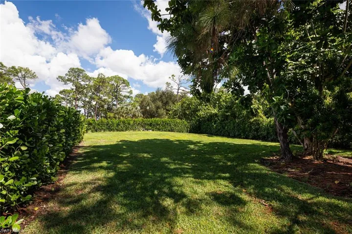 View of yard facing North