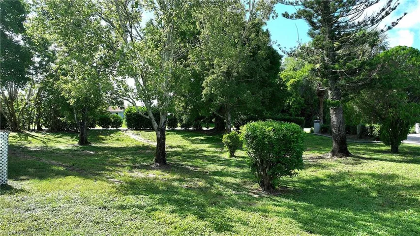 View of green lawn