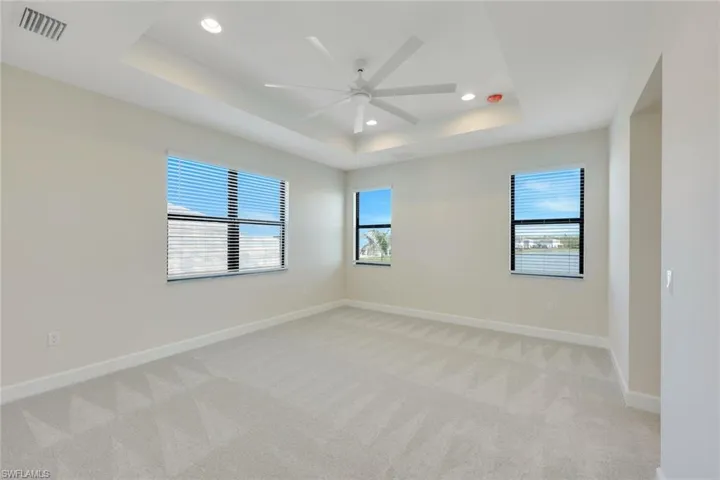 Carpeted spare room featuring ceiling fan, a raised ceiling, and a healthy amount of sunlight
