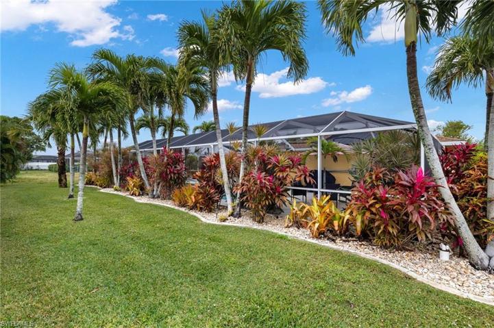 Tropical landscaping