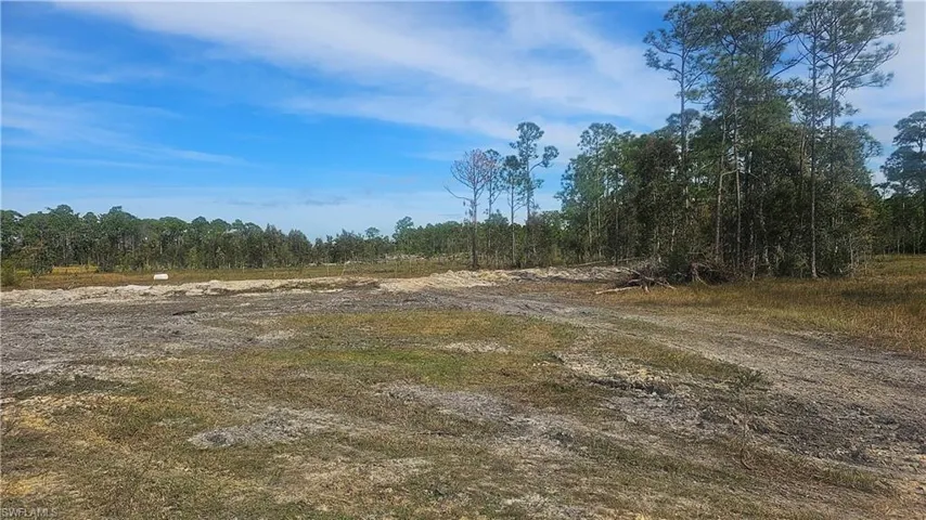 View of local wilderness
