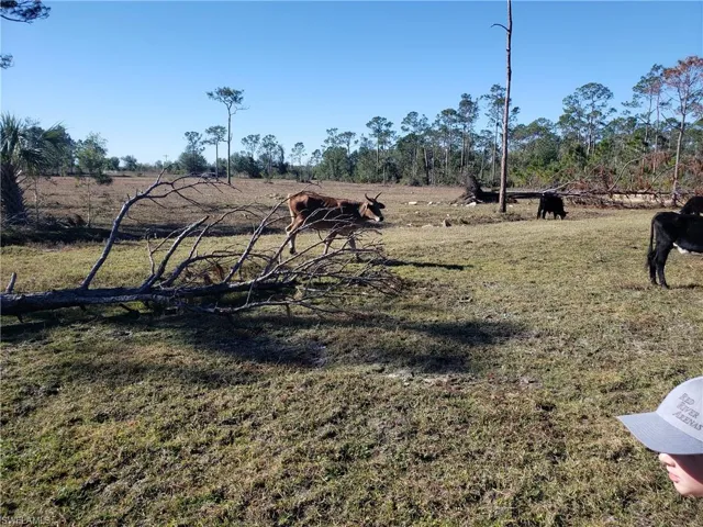 View of yard featuring a rural view