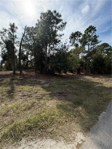 6017 Rita Ave N, Lehigh Acres, Florida 33971