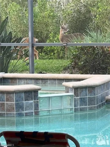 View of pool