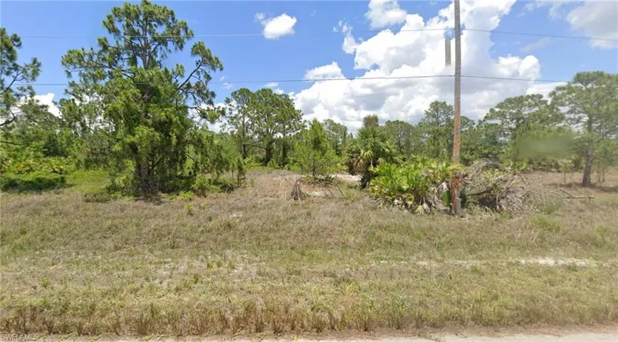 View of local wilderness