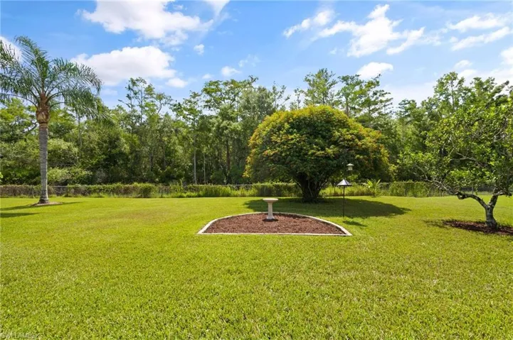 View of back yard