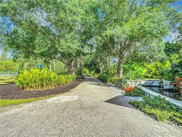 Driveway