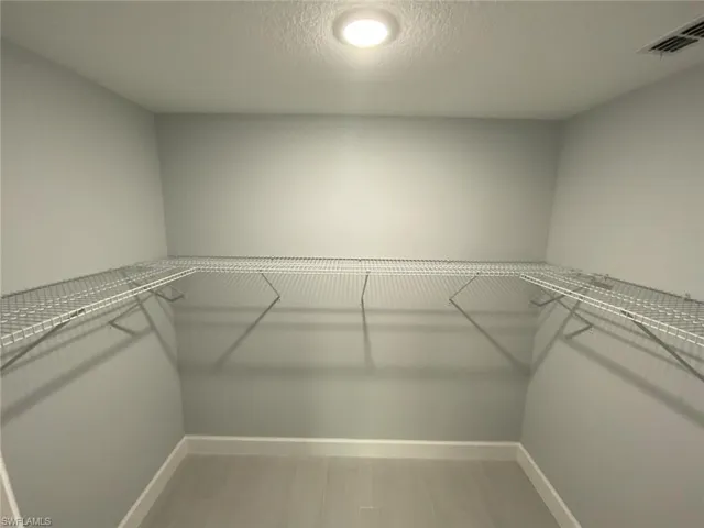 Spacious closet featuring wood-type flooring
