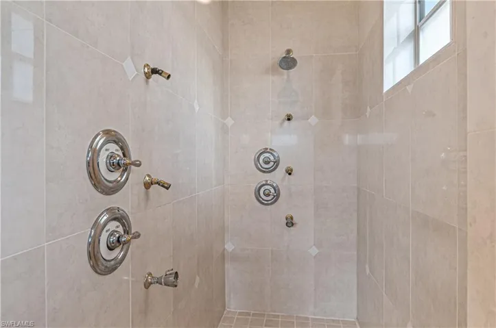 Primary bath shower