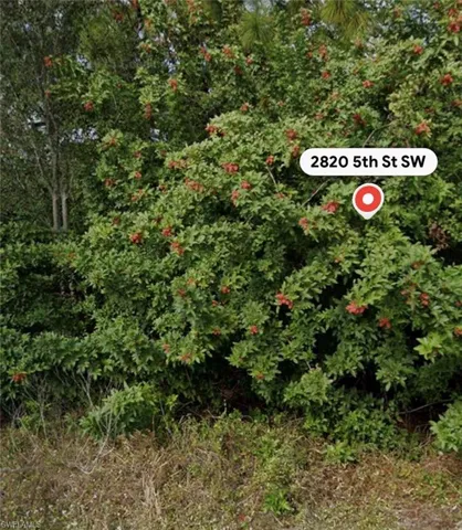 2820 5th St Sw, Lehigh Acres, Florida 33976