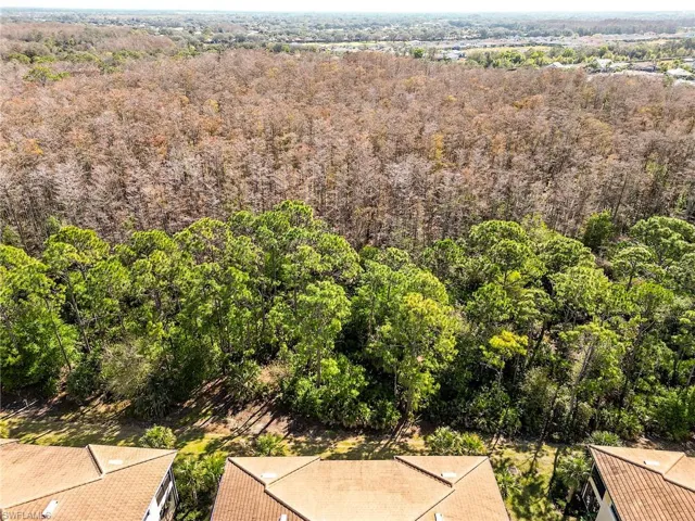 Beautiful view of the 41 acre preserve