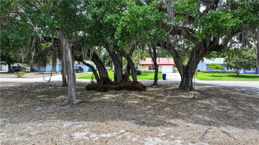 View of yard with curved driveway